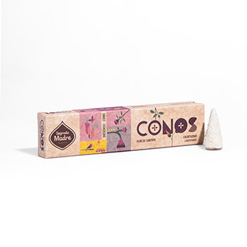 Conos - Flor de Champa