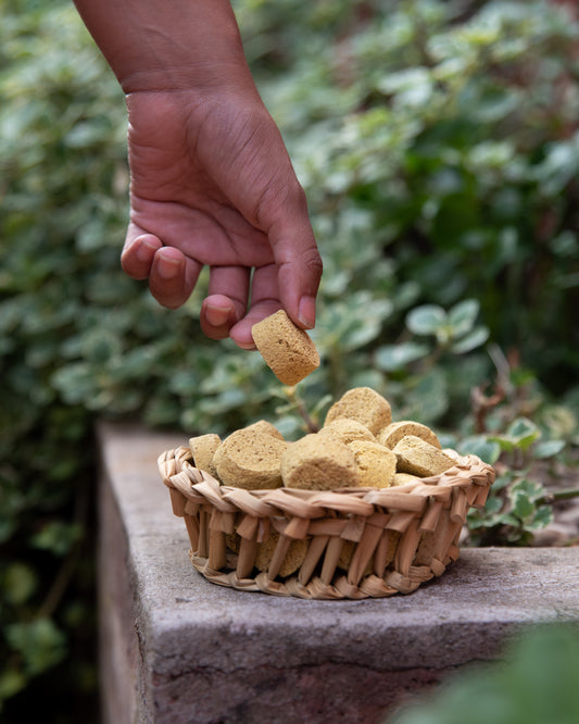 Bomba Carbón Sahumerio 12 Unidades - Sagrada Madre