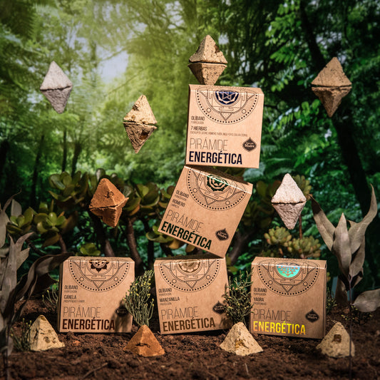 Pirámide Energética