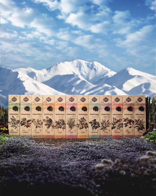 Incienso Patagonia